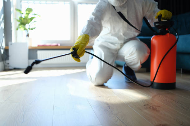 Reliable Odor Removal contractor in Westville, IN by Trauma Clean Pros